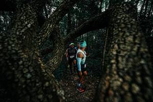 BIB: 
                            <button type="button" onclick="openModal(25691168)" class="btn btn-primary btn-sm float-right btn-popup" data-toggle="modal" data-target=".modal-high-quality">
                        <i class="fas fa-shopping-cart"></i> Add to Cart
                    </button>
                                            <button type="button" onclick="isThisMe(25691168, true)" class="btn btn-success btn-sm float-right btn-popup btn-isme hidden" data-toggle="tooltip" data-placement="bottom" title="นี่คือรูปของคุณใช่ไหม คลิกที่นี่เพื่อเอาเข้าอัลบั้ม">
                        <i class="fas fa-plus"></i> Add to album
                    </button>
                    <button type="button" onclick="isThisMe(25691168, false)" class="btn btn-warning btn-sm float-right btn-popup btn-isnotme hidden">
                        <i class="fas fa-ban"></i> Remove from album
                    </button>